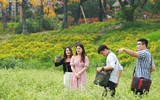 Lạc lối giữa cánh đồng hoa tam giác mạch ở Hà Nội